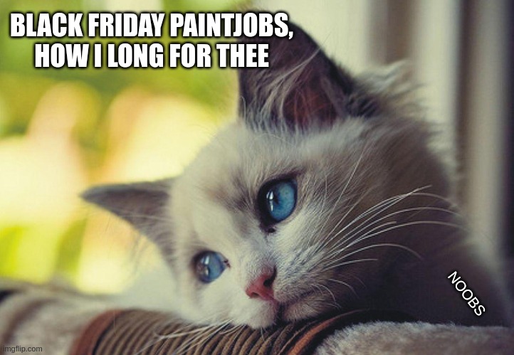 sad_cat_bf_paint.jpg