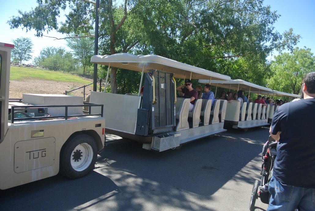 Safari Cruiser.jpg