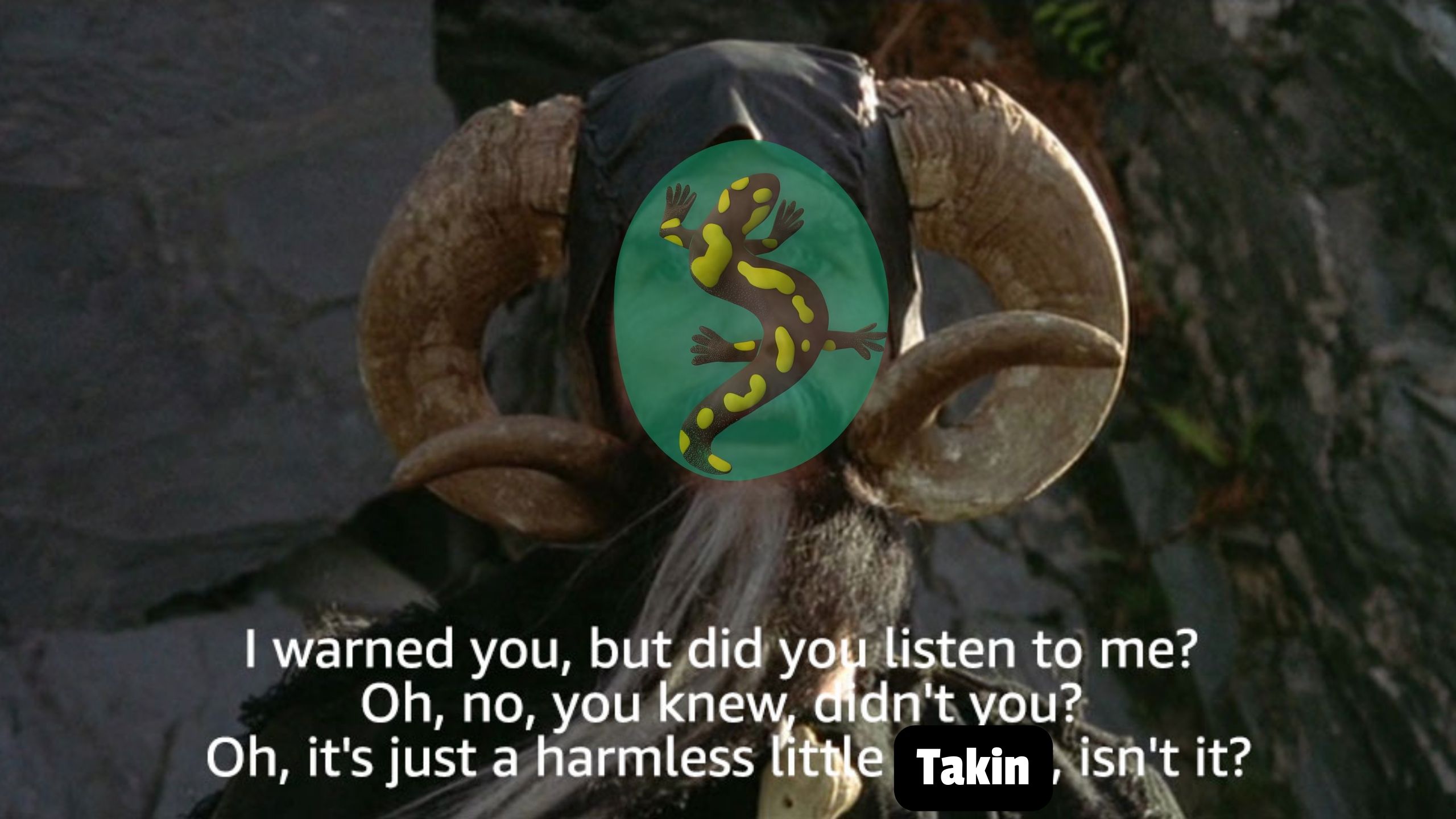 salamanders.jpg
