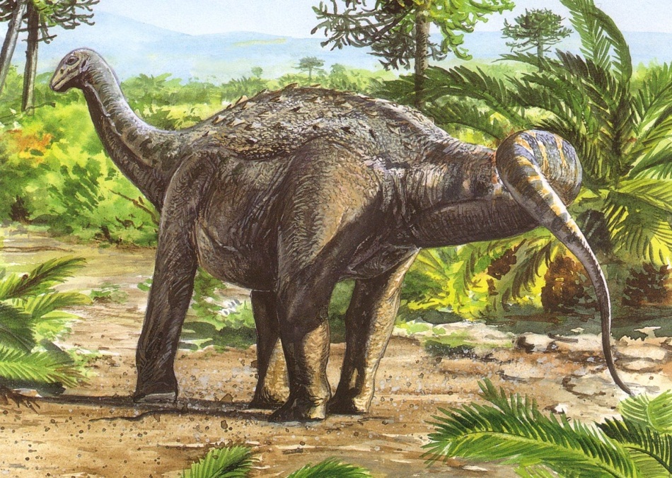 Saltasaurus-Dinosaur.jpg