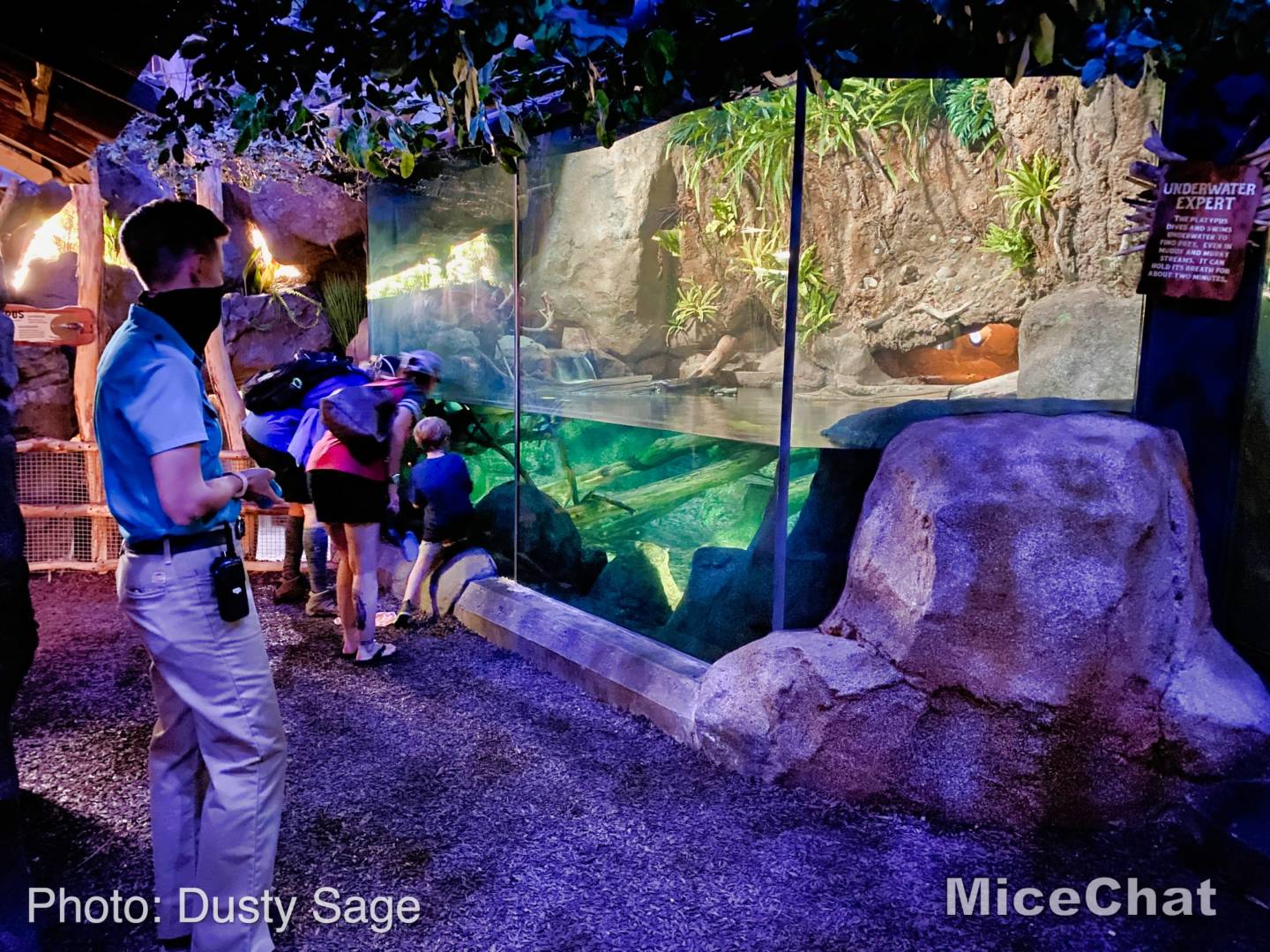 San-Diego-Zoo-Safari-Park-australia-platypus-distancing-inside-micechat.jpeg