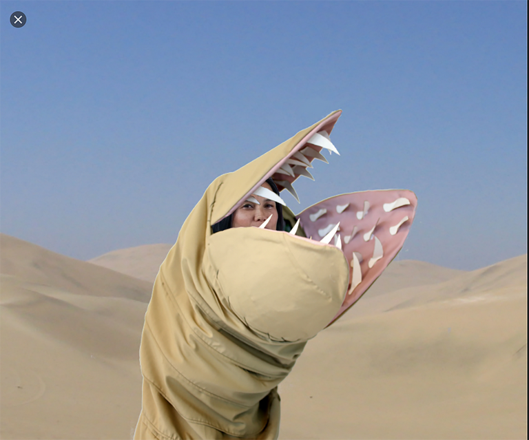 sandi2.png