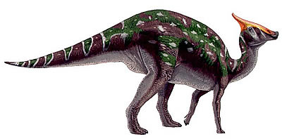 144203
