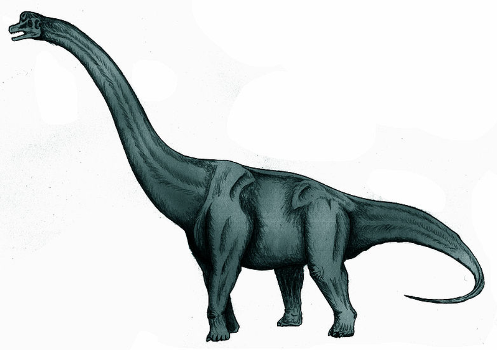 Sauroposeidon.png