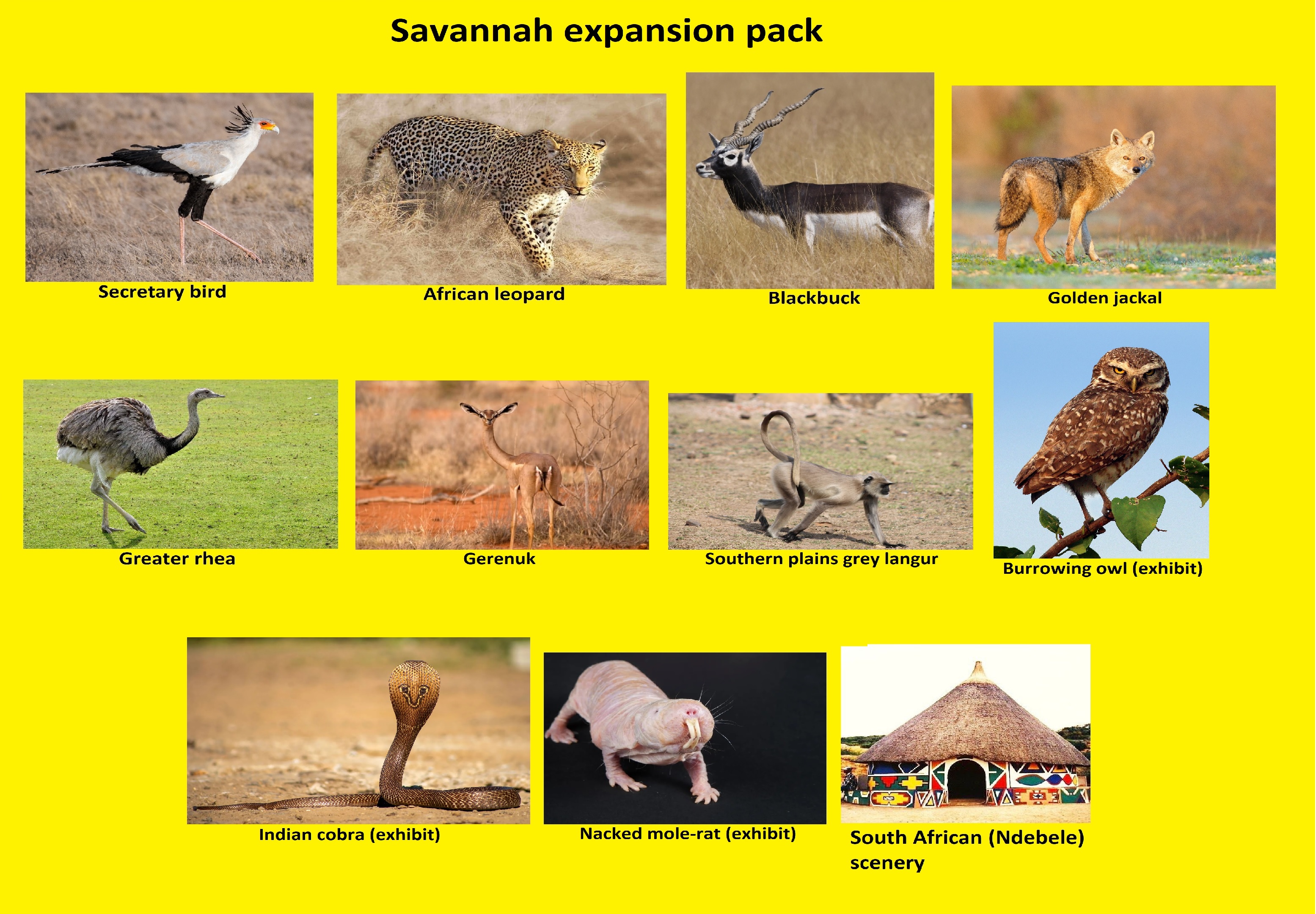 Savannah expansion pack.jpg