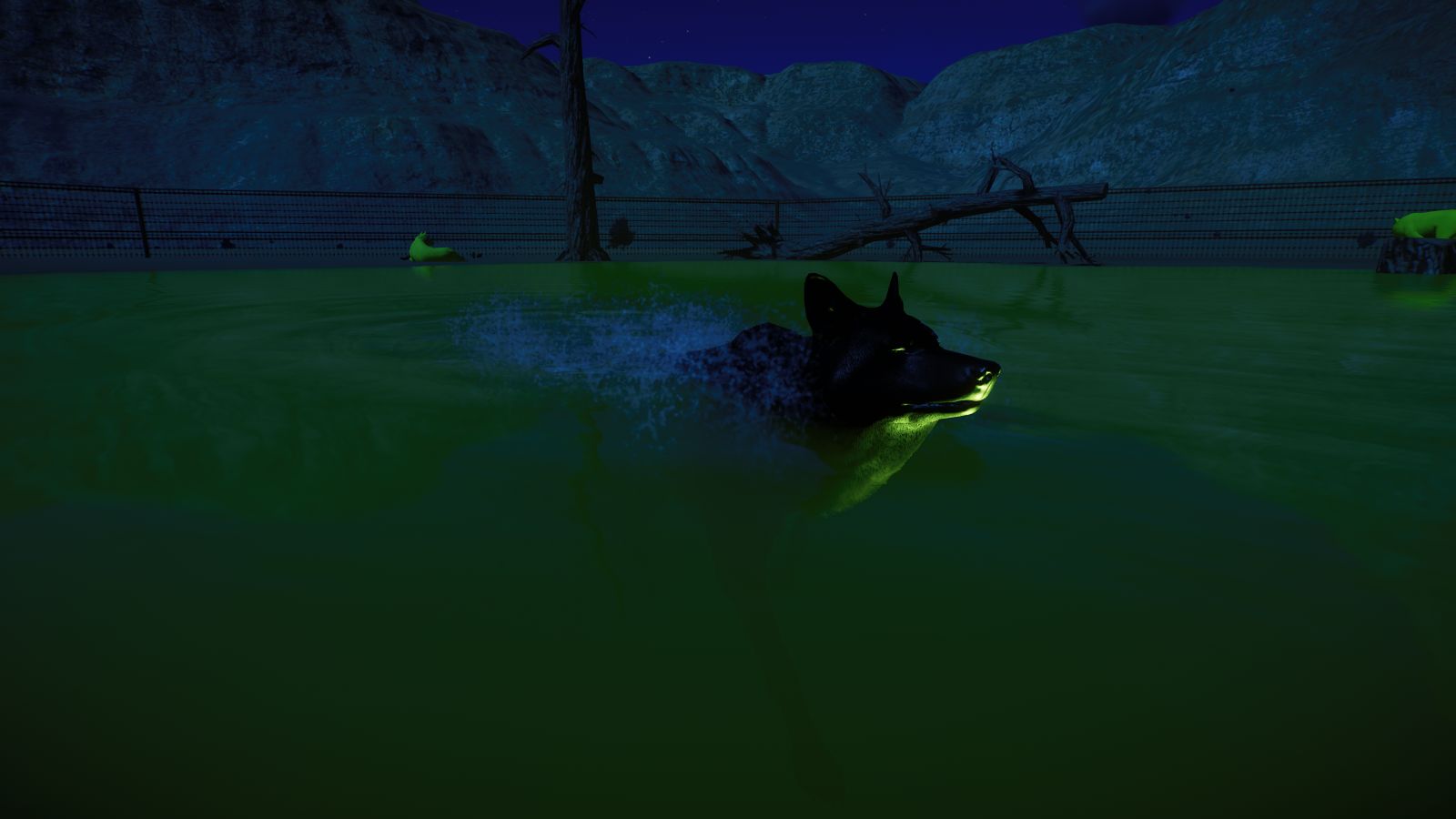 schwimmender schwarzer Wolf.jpg