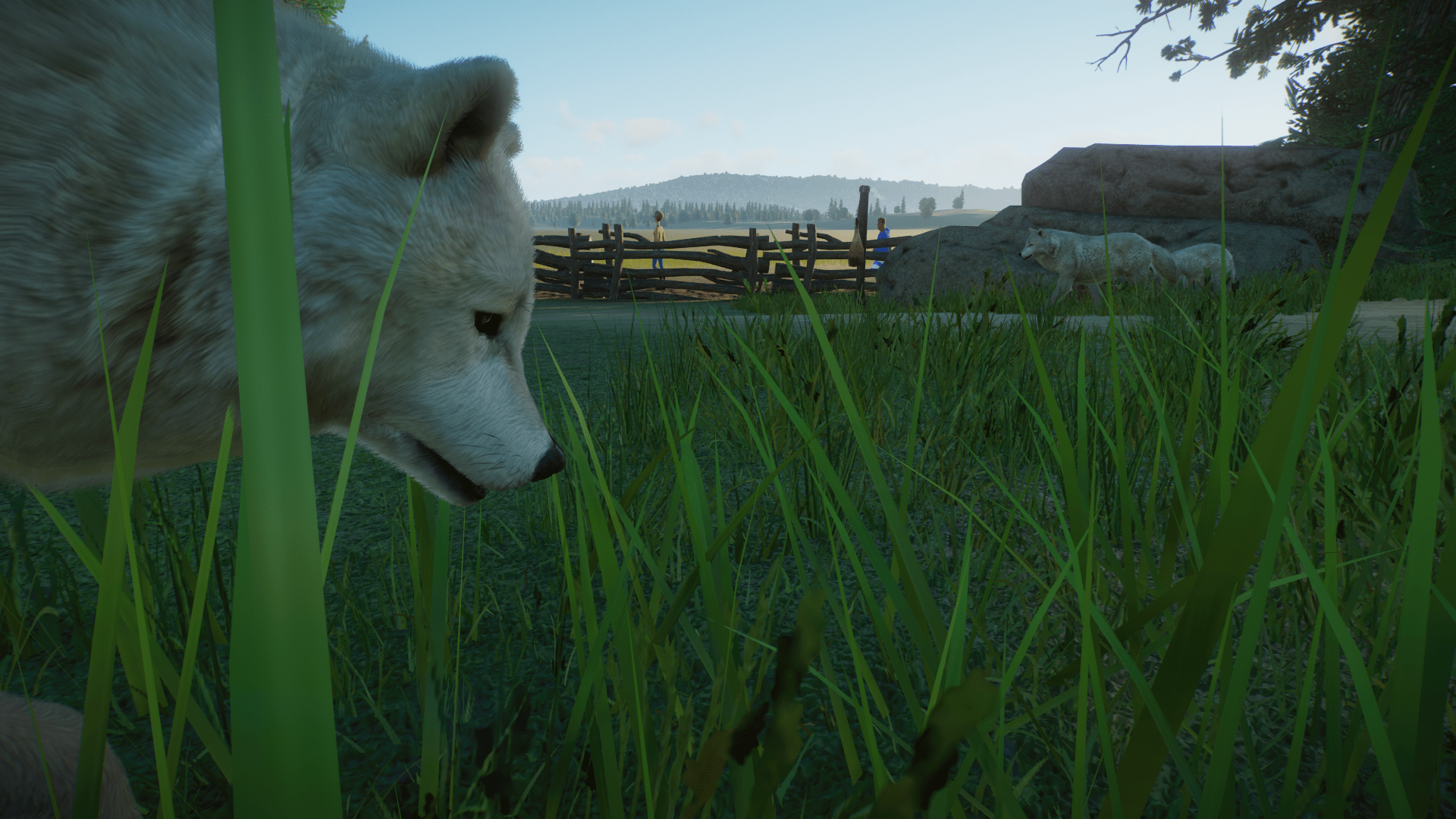Screenshot (127)-min.png
