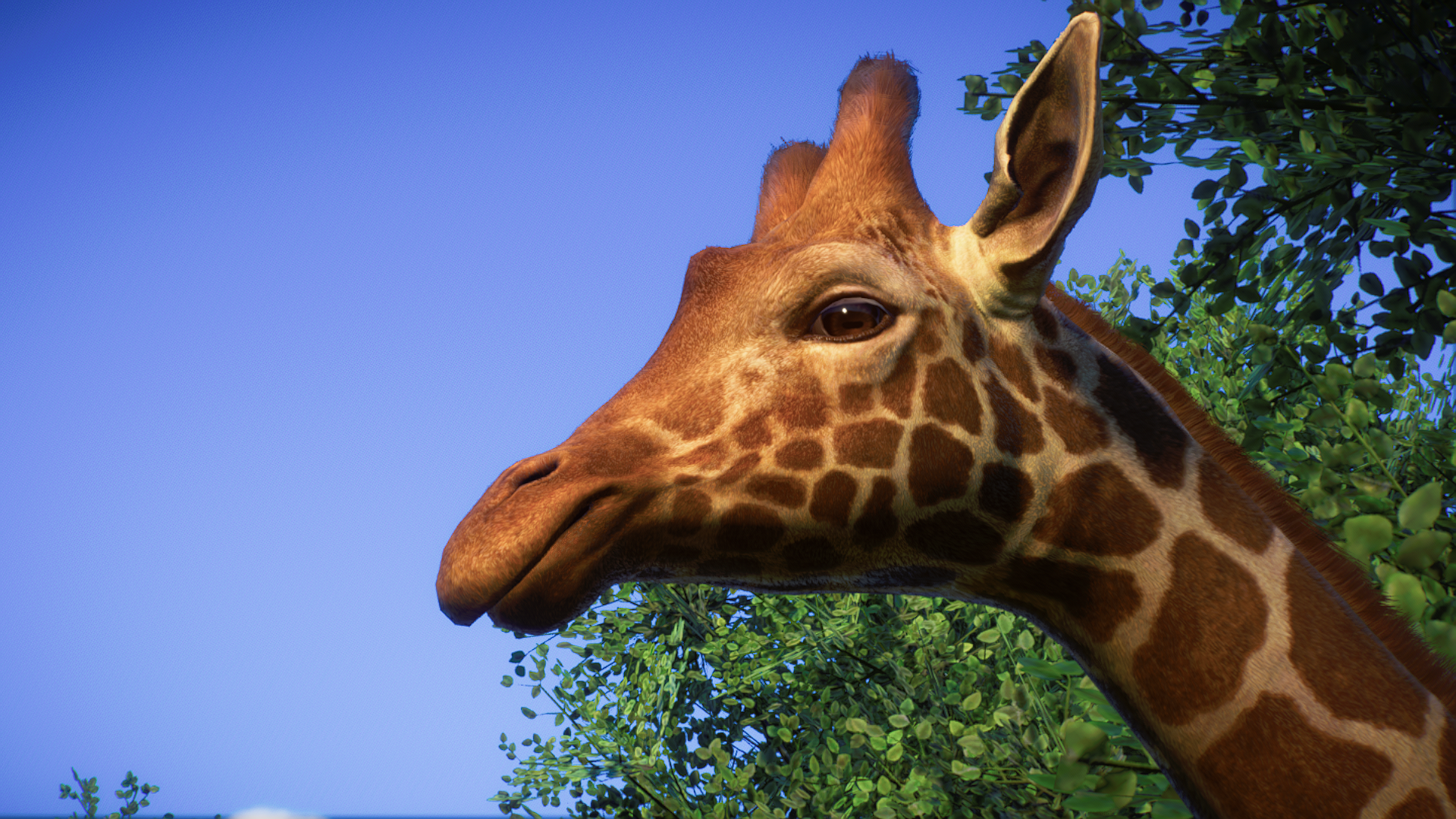 Screenshot (2008).png