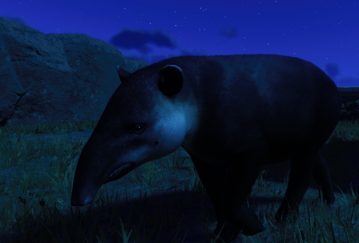 Screenshot 2025-05-18 122211.png