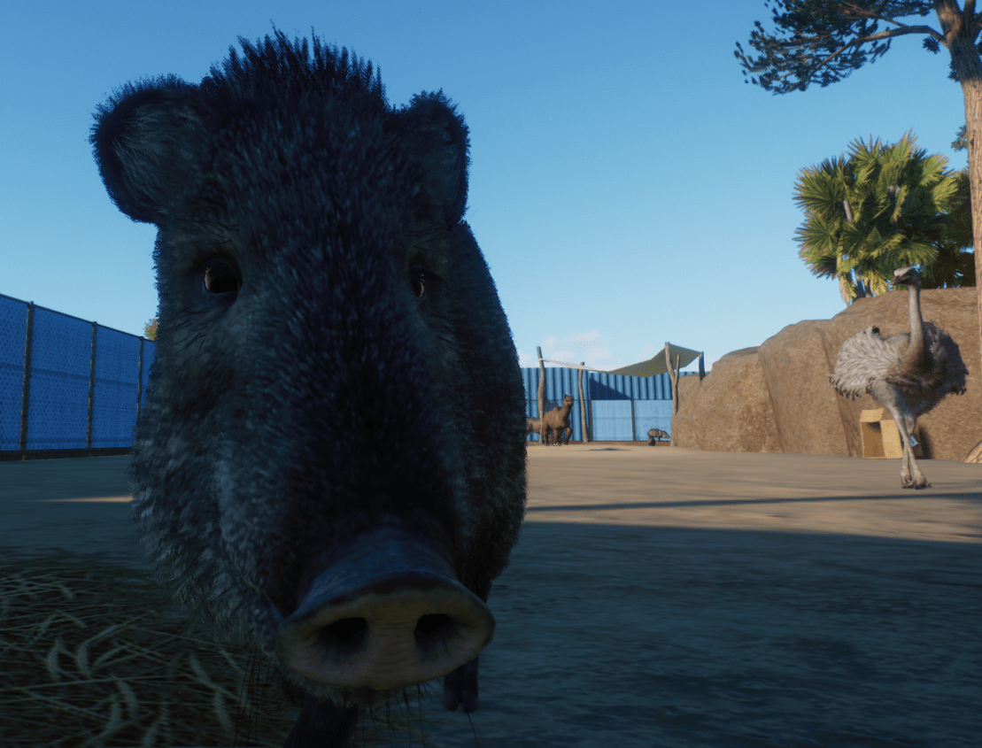 Screenshot 2025-05-20 151147-min.png