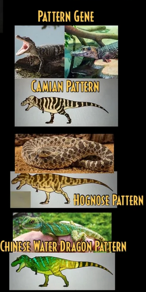 Screenshot 2025-07-06 at 13-17-15 Features I Want To See In JWE3 r_jurassicworldevo.png