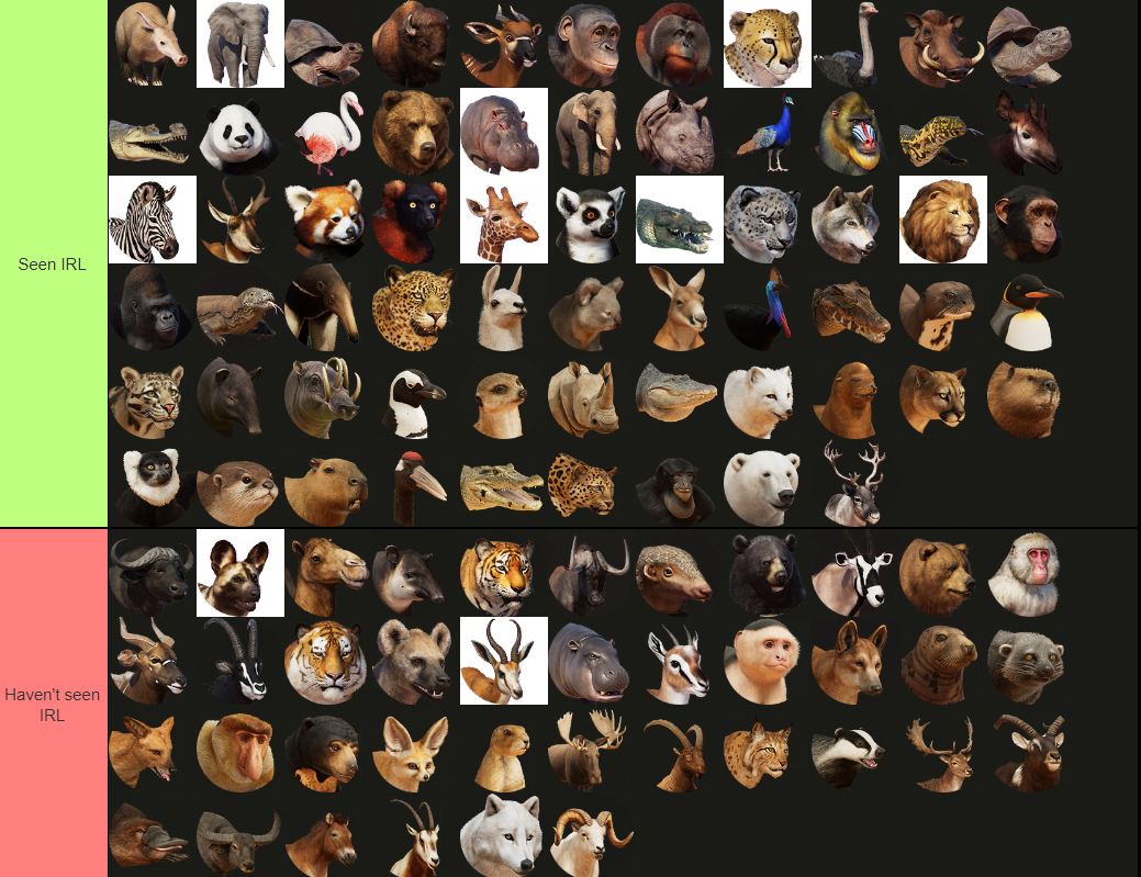 Screenshot (21).png