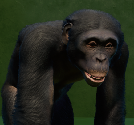 Screenshot (3).png