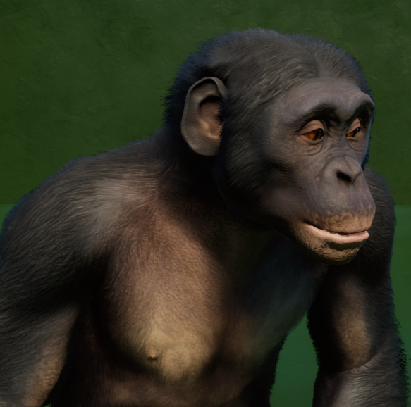 Screenshot (4).png
