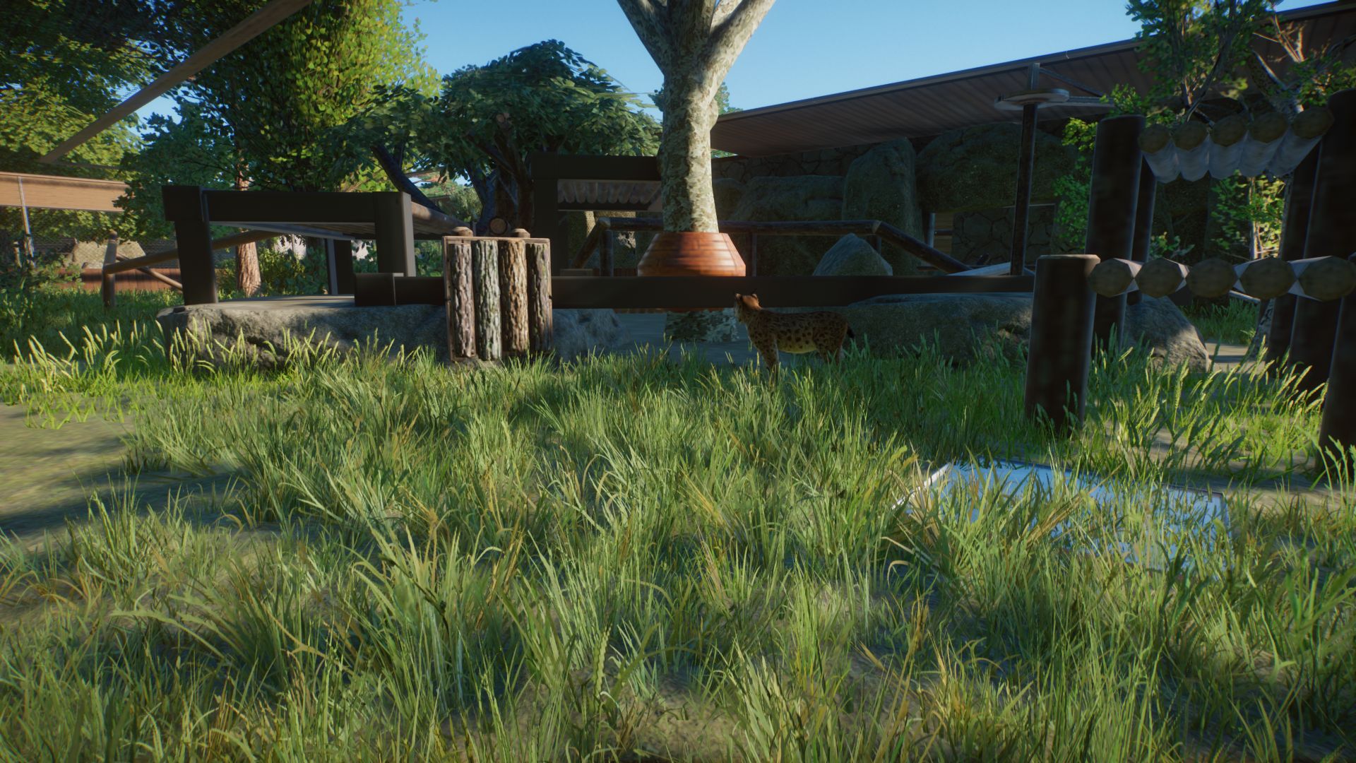 Screenshot (545)_compressed.jpg