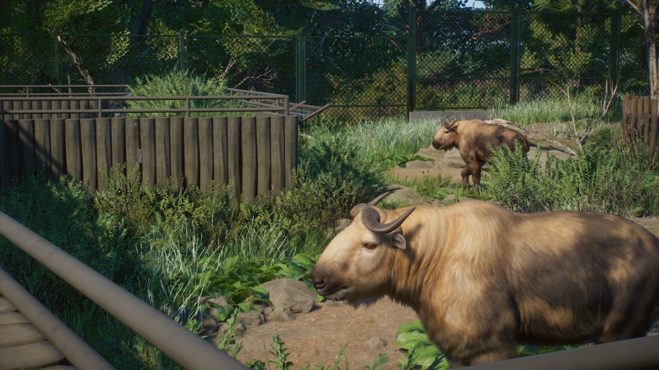 Screenshot (6).jpg