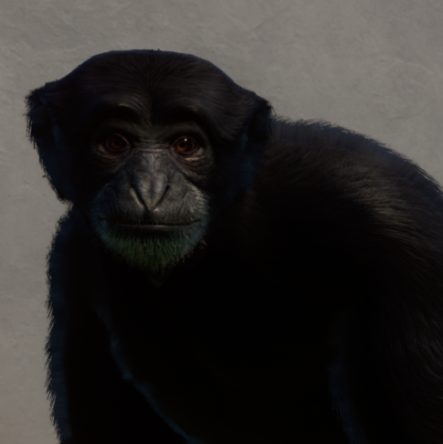 Screenshot (8).png