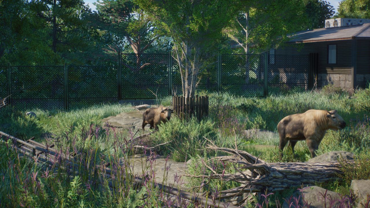 Screenshot (9).jpg