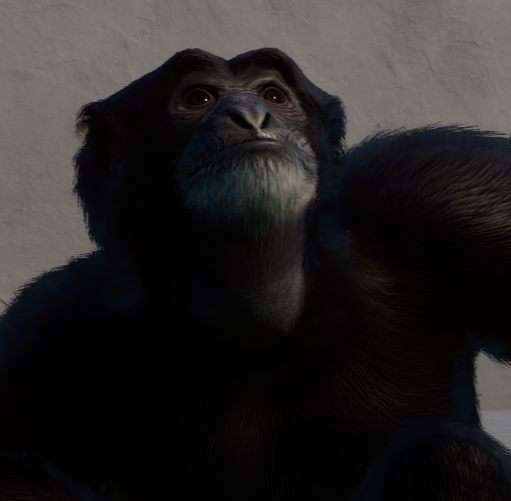 Screenshot (9).png