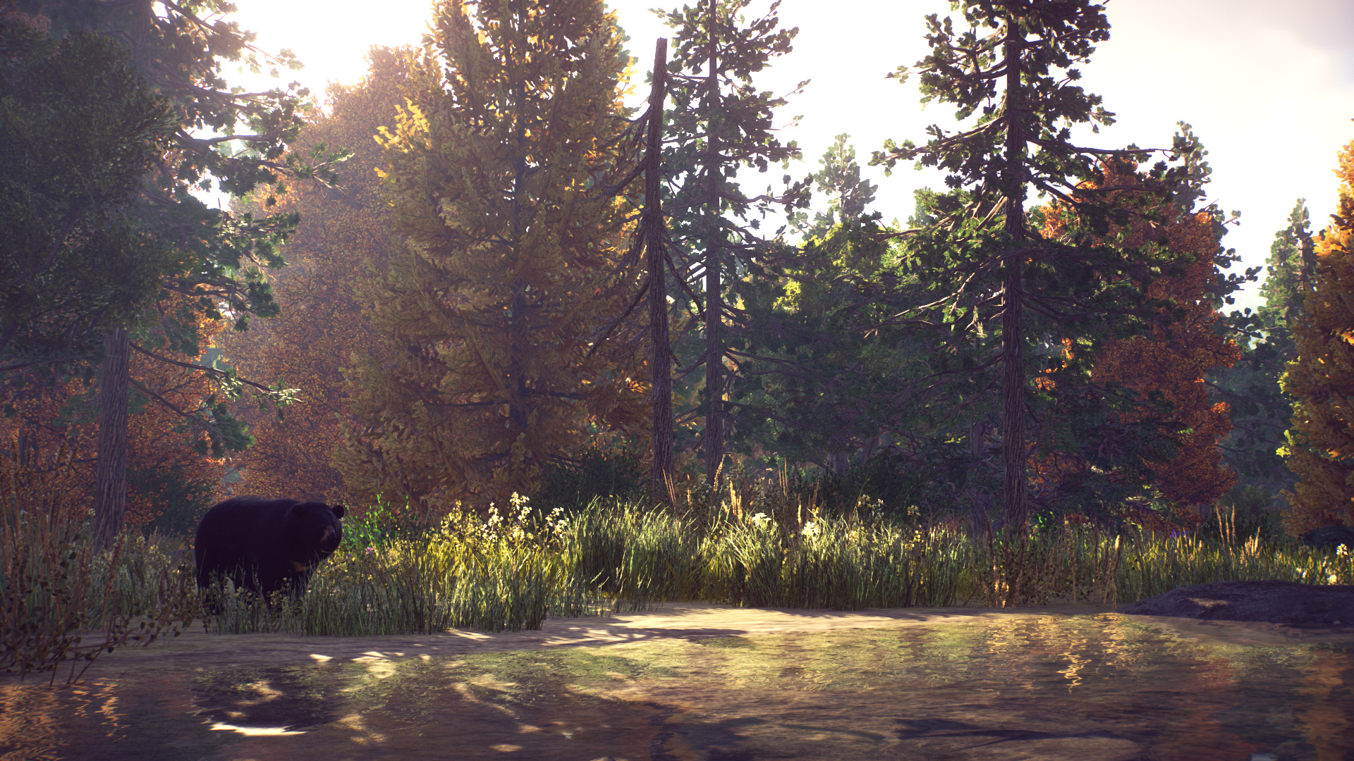 screenshot02b.jpg