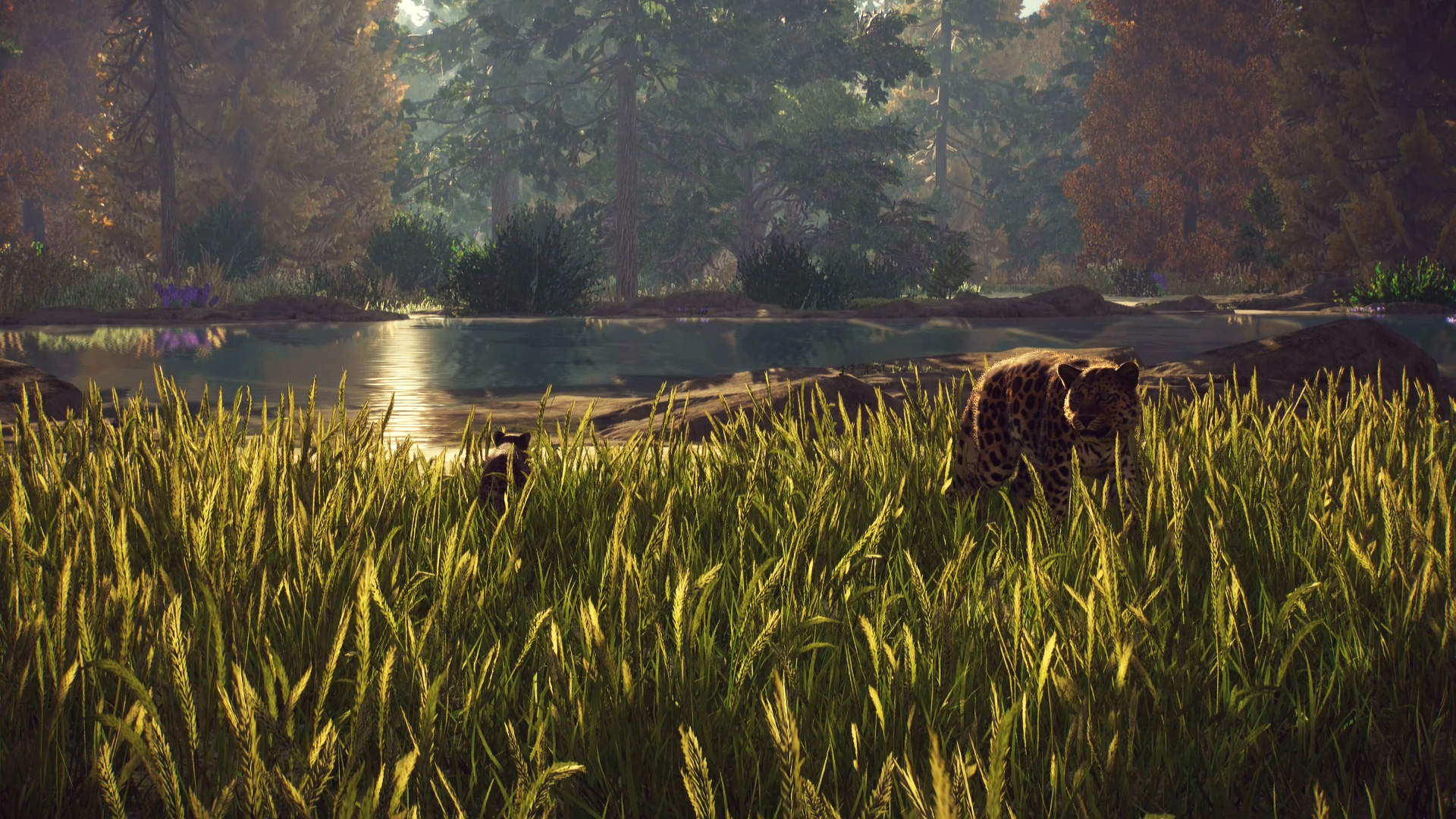 screenshot03.jpg