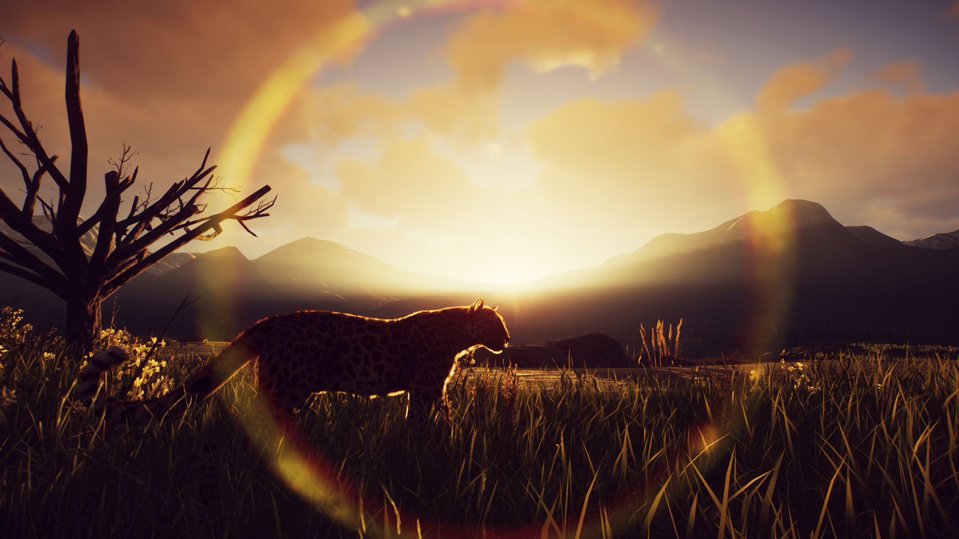 screenshot04.jpg