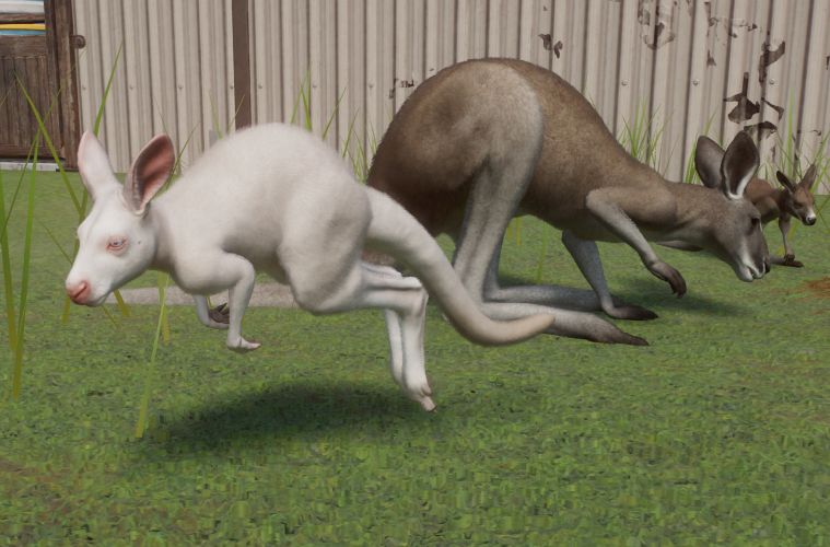 Screenshot_1.png