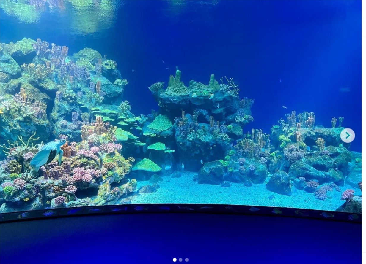Screenshot_20231126_164953_Chrome.jpg