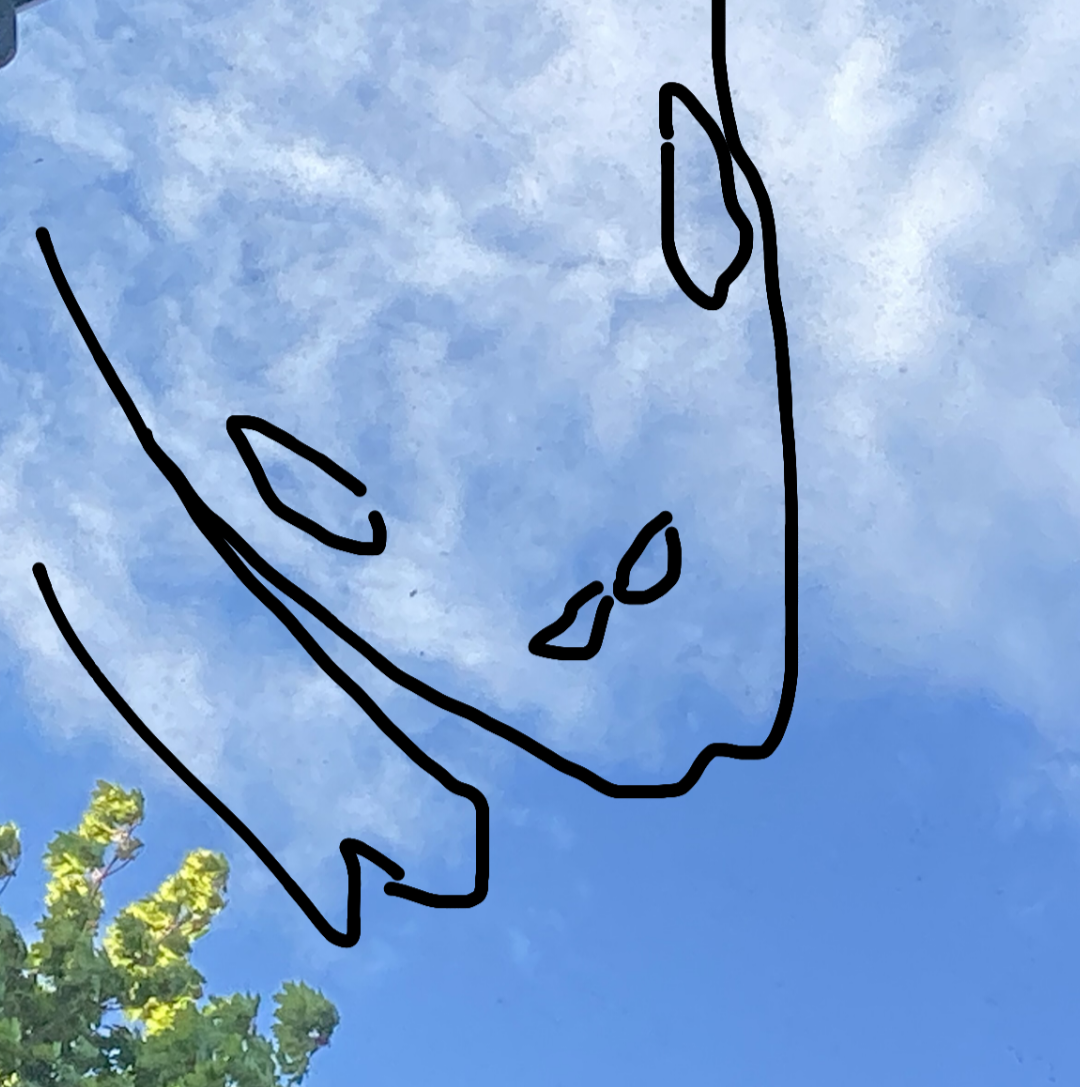 Screenshot_20240509-175319-169.png