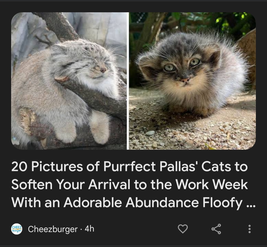 Screenshot_20241022_110457_Google.jpg