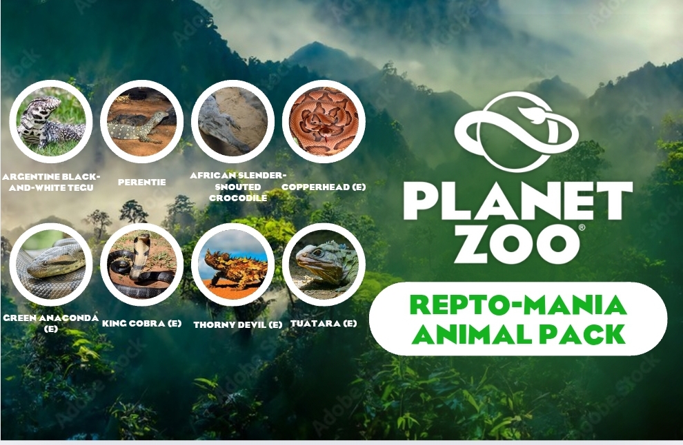 Screenshot_20250405_102600_Canva.jpg