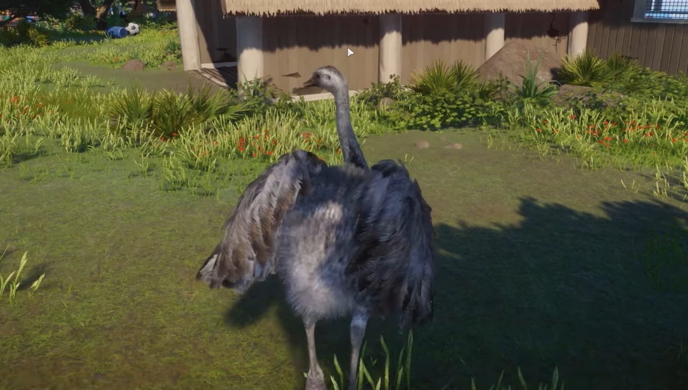 Screenshot_20250414_110837_YouTube.jpg