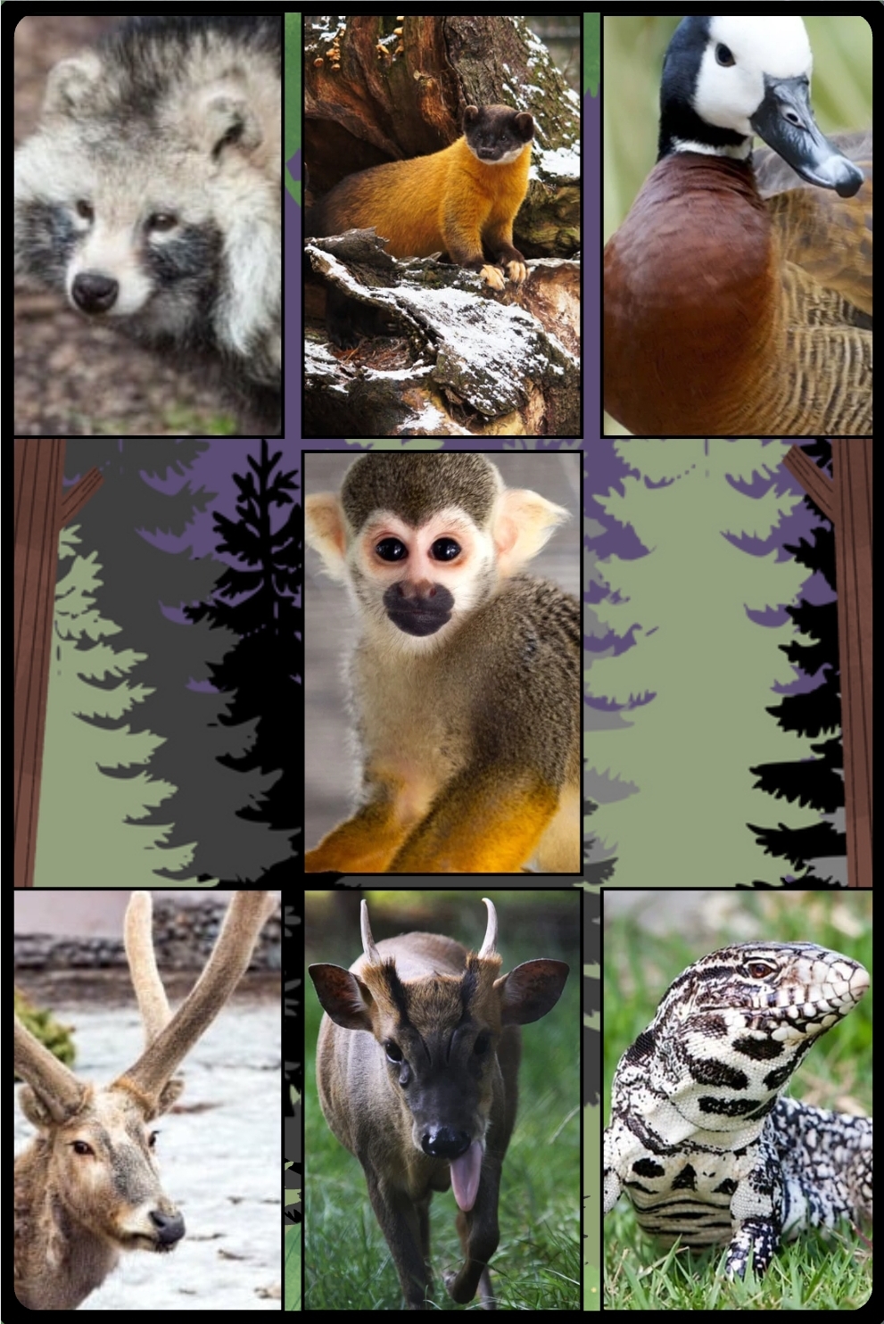 Screenshot_20250421_190149_Canva.jpg
