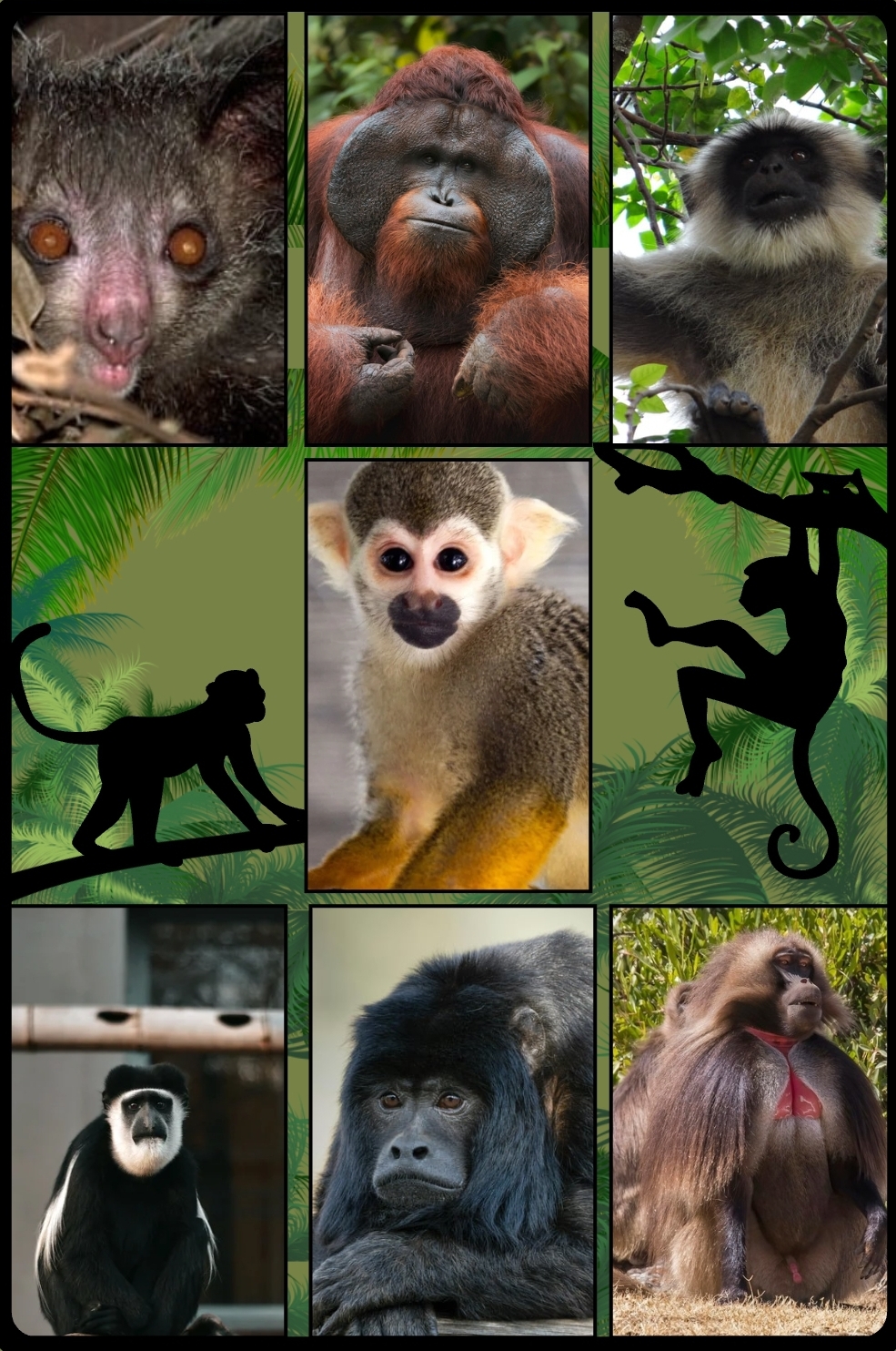 Screenshot_20250510_213638_Canva.jpg