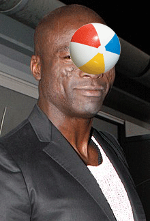 seal2.gif