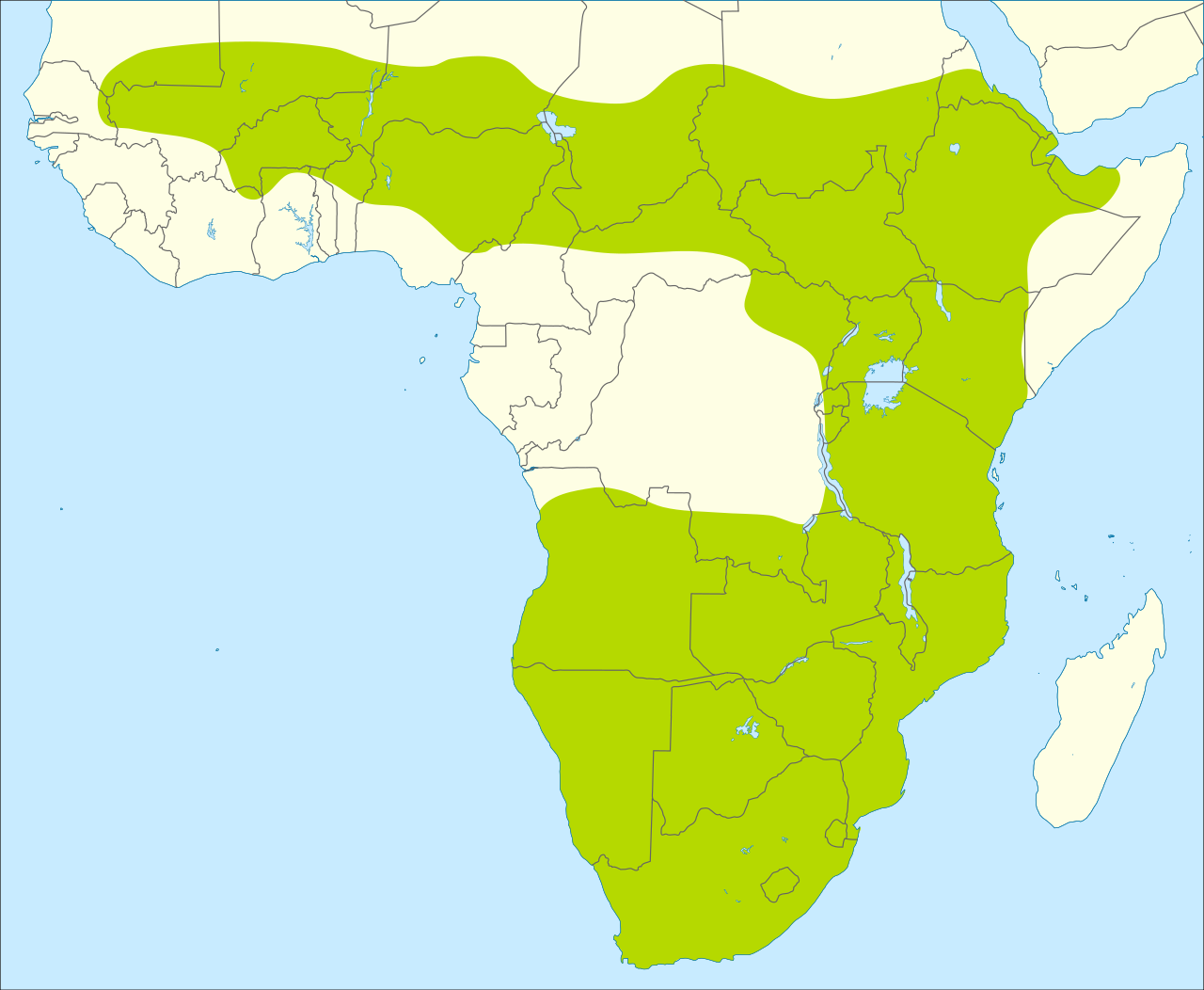 Secretarybird_distribution_map.svg.png