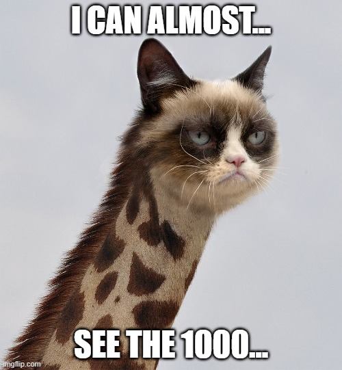 see 1000.jpg