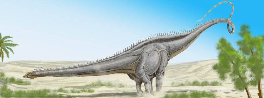 Seismosaurus.jpg