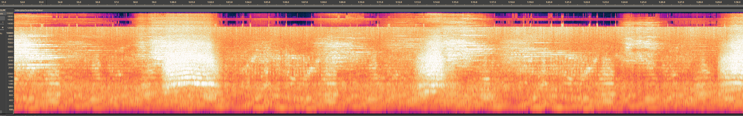 Sentinel_512_wide.png