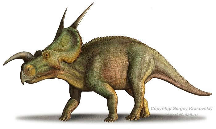 144196