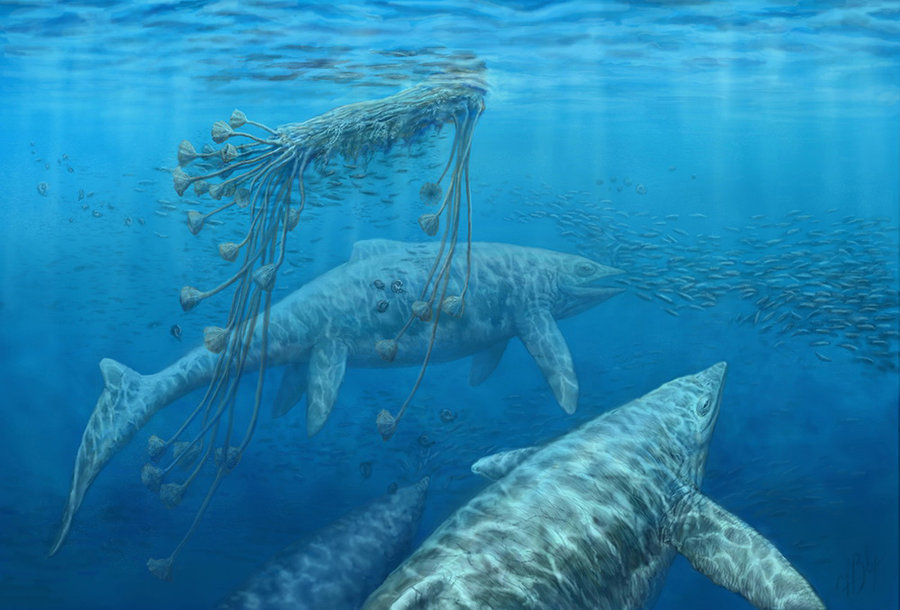 Shastasaurus1.jpg