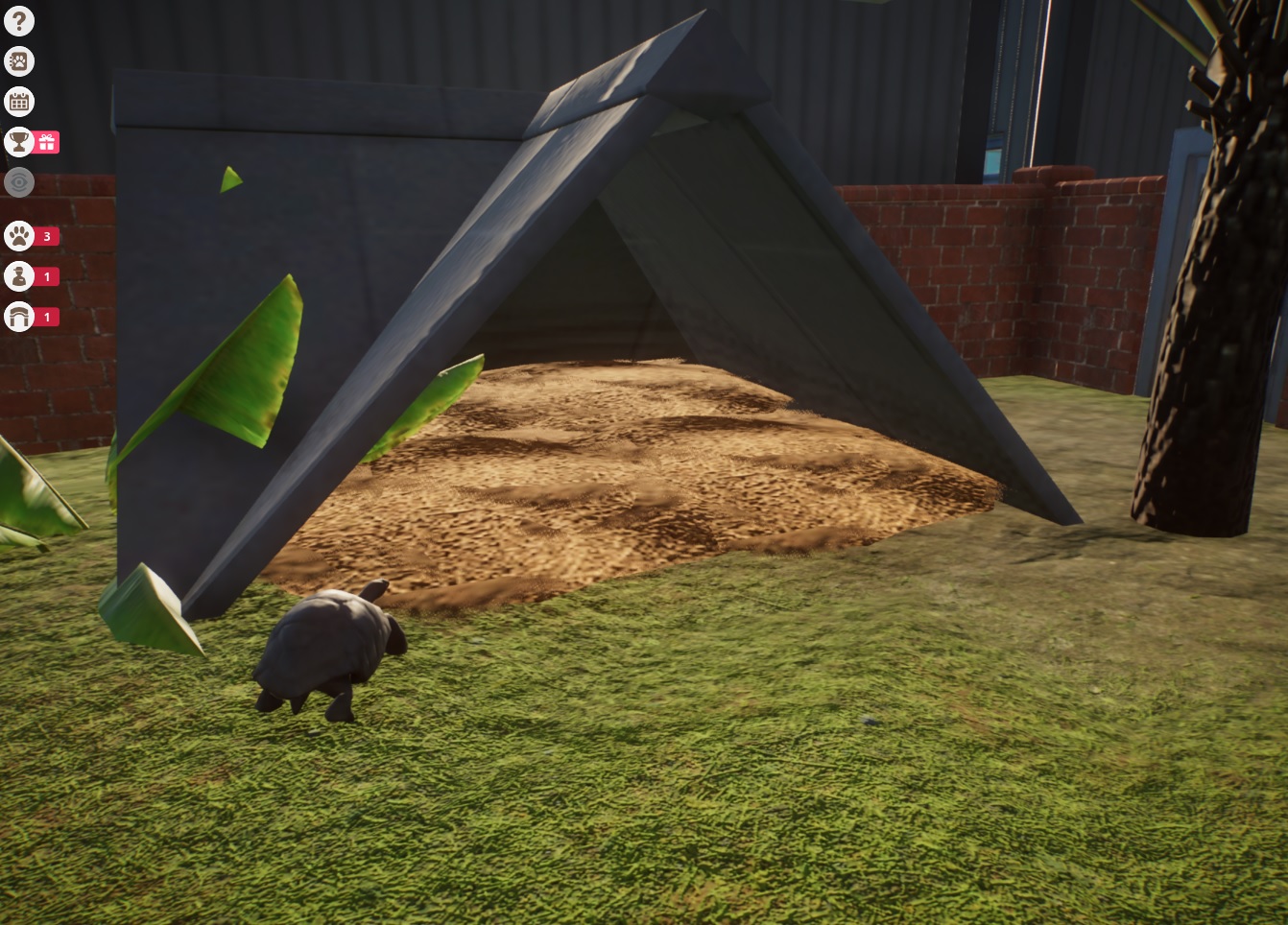 shelter tortoises1.jpg