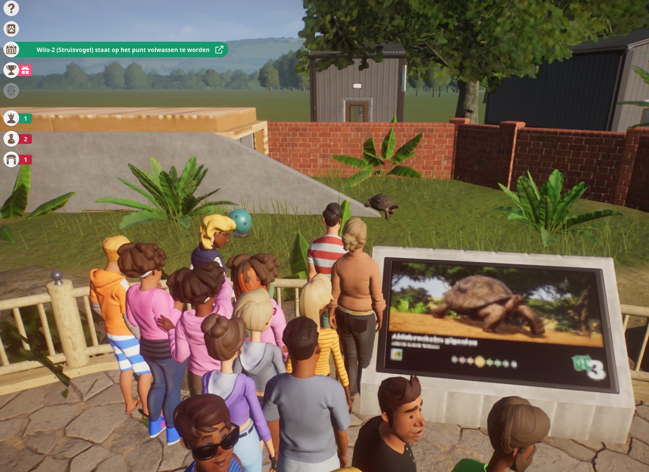 shelter tortoises4.jpg