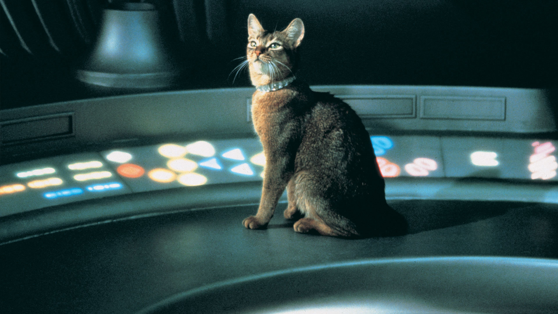 ship interiors.jpg