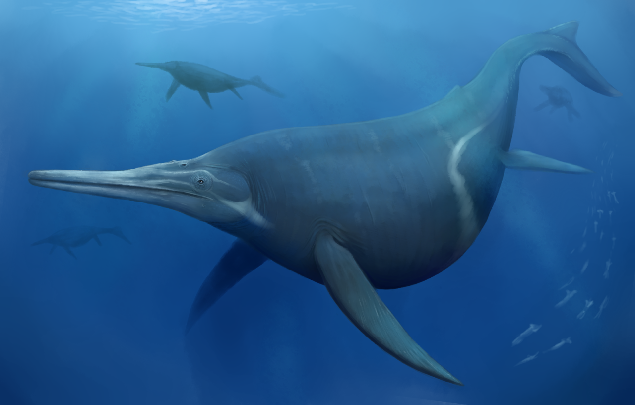 Shonisaurus.png