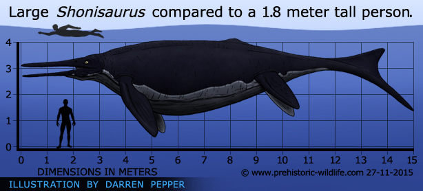 shonisaurus-size.jpg
