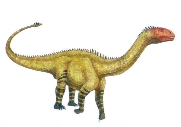Shunosaurus.png