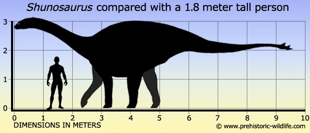 shunosaurus-size_d247.jpg