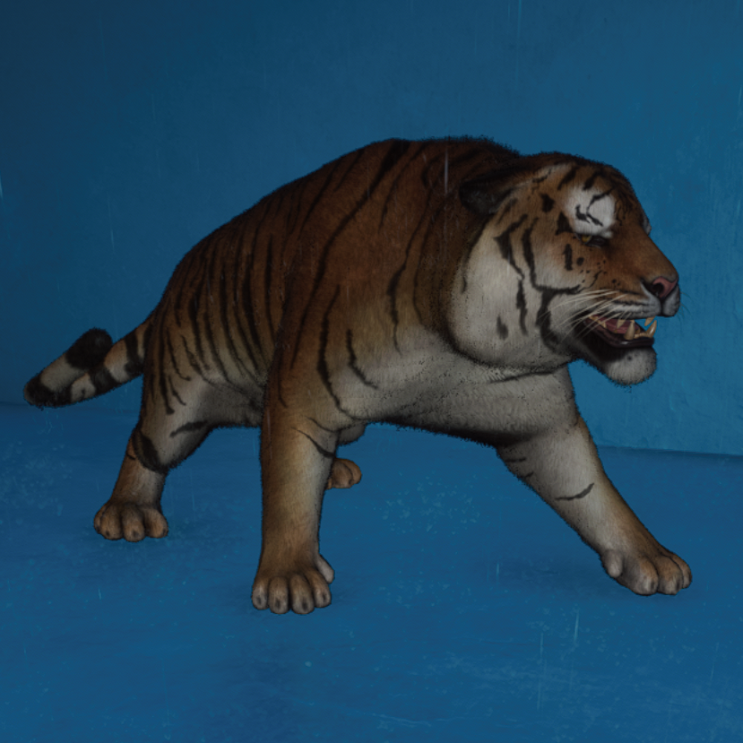 Siberian Tiger Avatar.png
