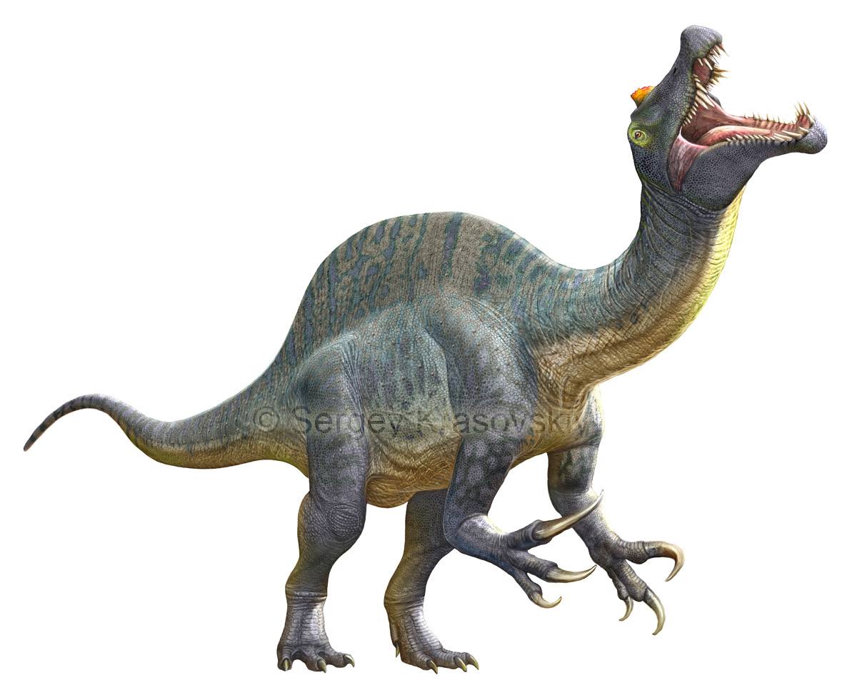 Sigilmassasaurus_cf_2016_PaleoArt-Sergey_Krasovskiy.jpg